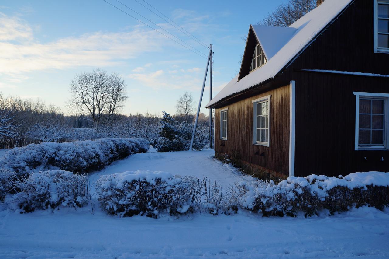 Villa Jaerve Talu Puhkemaja Otepää Exterior foto